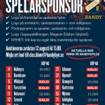 UPPDATERAD: Auktion spelarsponsring