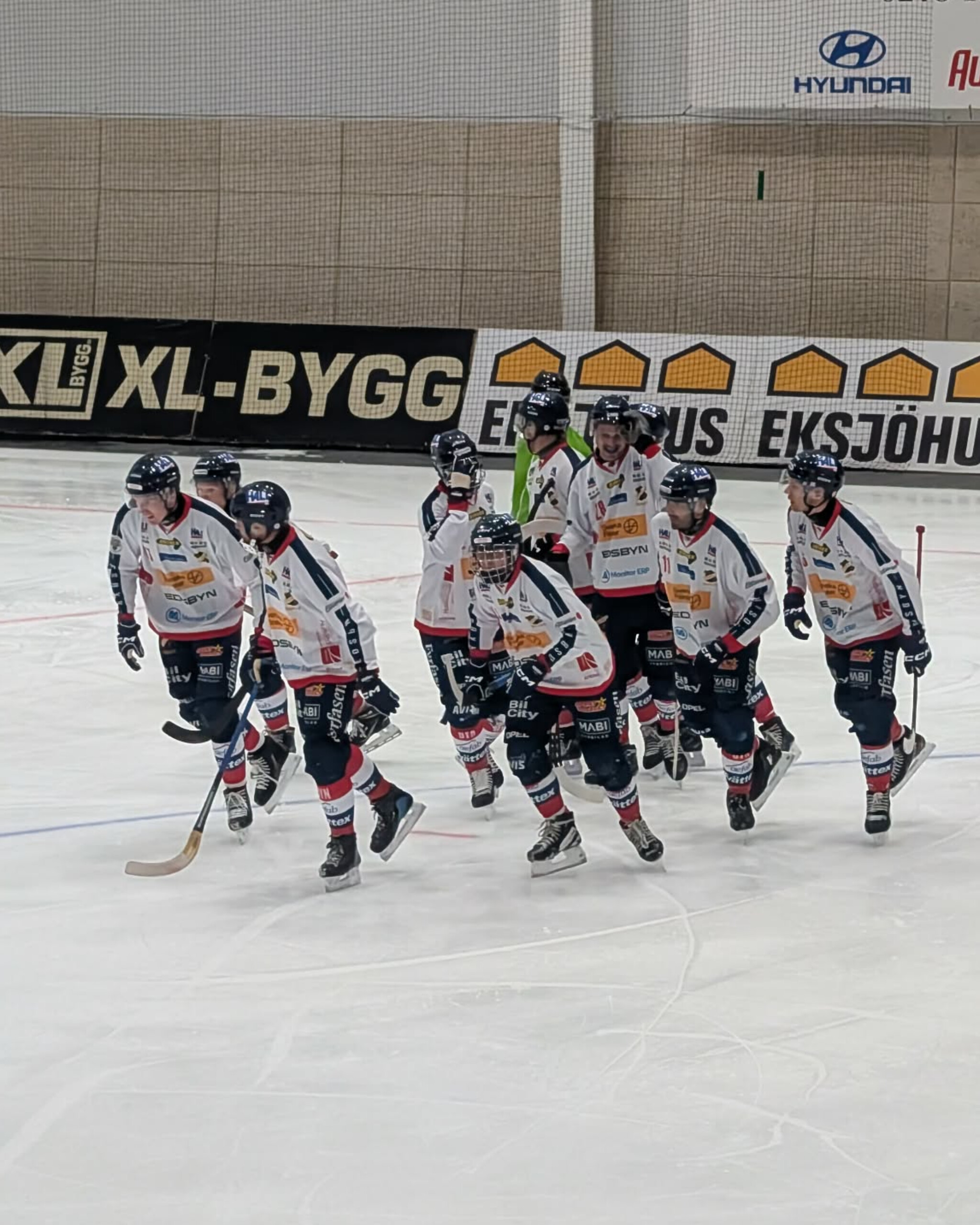 Brindholms Söndagskrönika