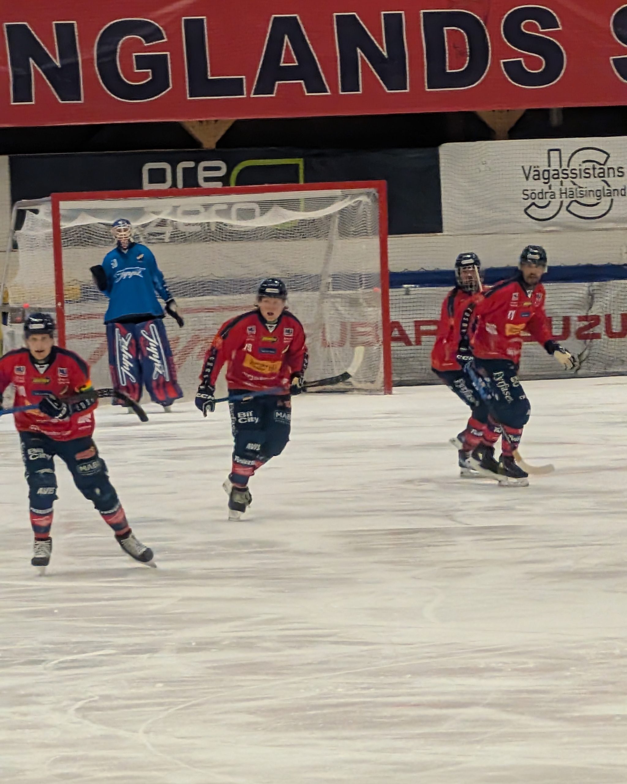 Brindholms Söndagskrönika